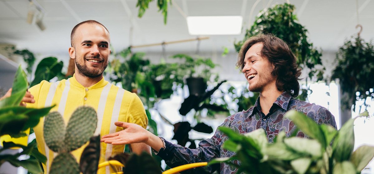 Expertos en administración de fincas en Murcia